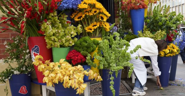 A staff member stoops to pick up dropped petals outside a shop by the prime colours of flowers on display on Sloane Square during the Chelsea Flower Show and street flower festival, London, U.K., May 21, 2025. (Getty Images)
