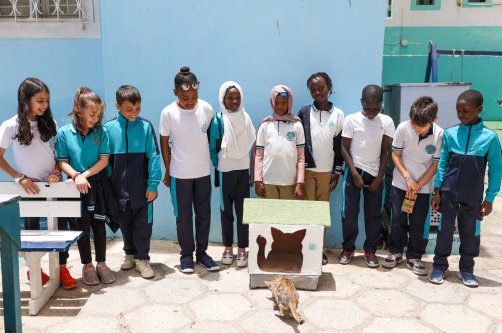 Students pose with a handmade cat house crafted from recycled materials as part of a Zero Waste Project initiative at a Maarif school, Dakar, Senegal, May 16, 2025. (AA Photo)